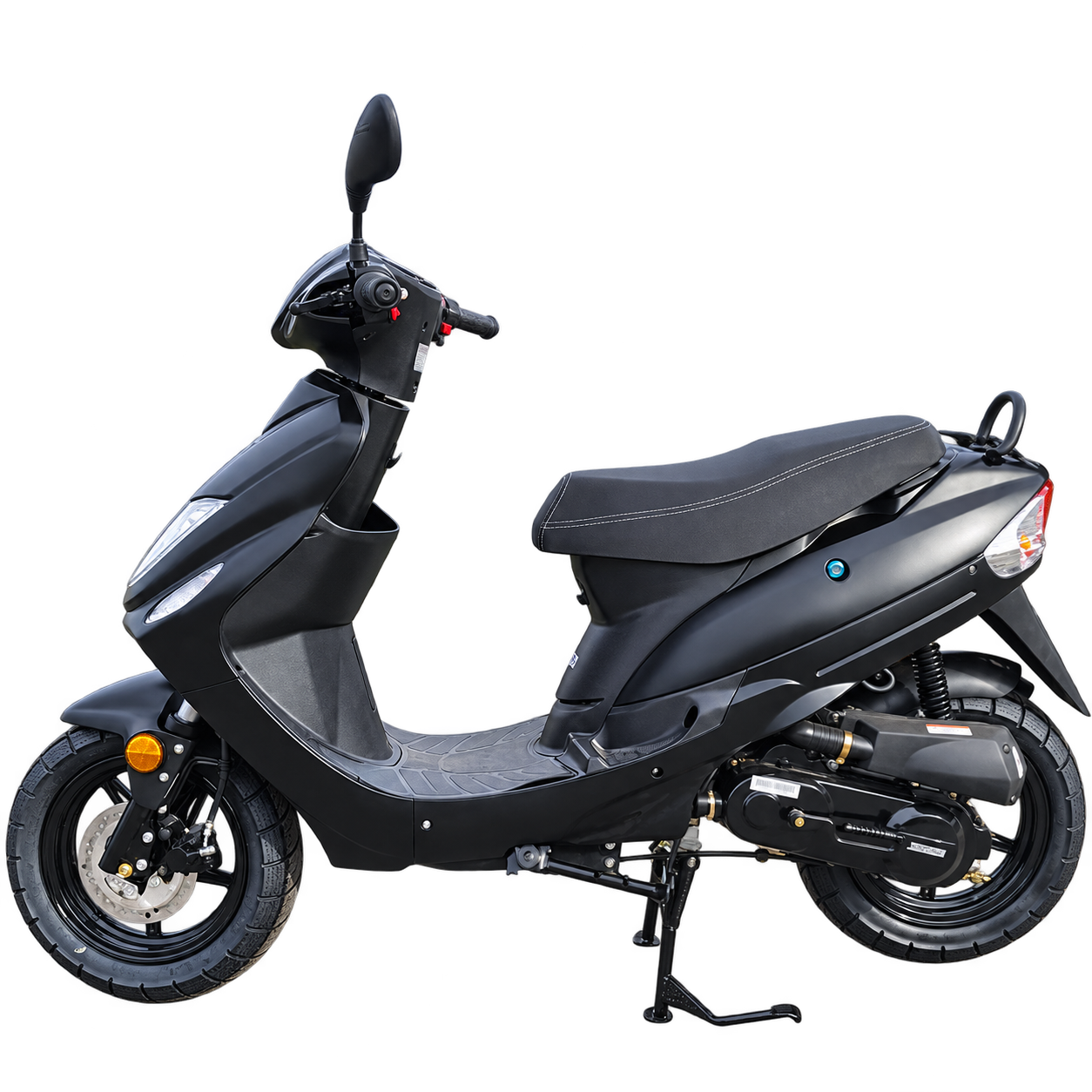 Zen Sport – Profil gauche